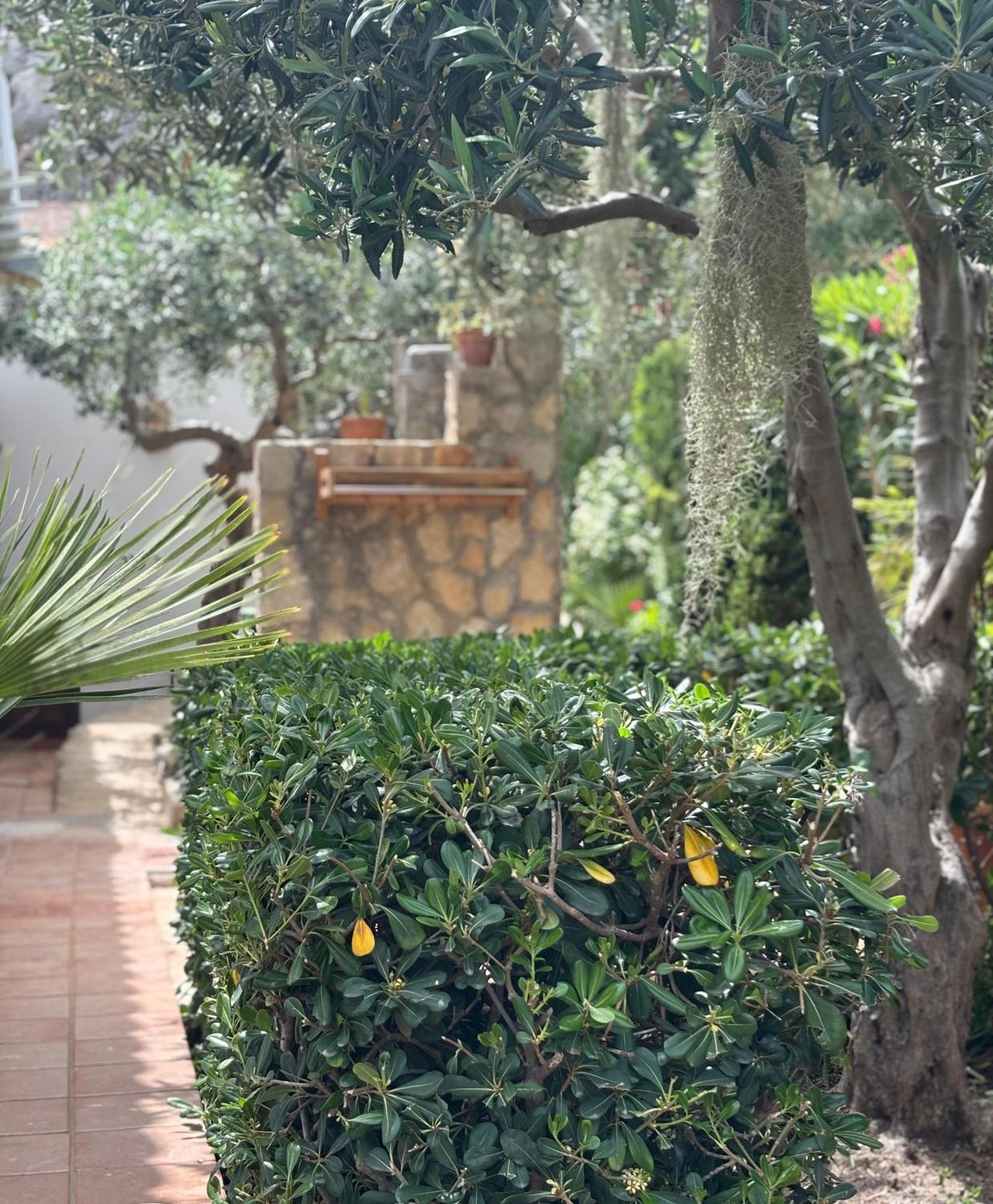 B&B Villa Alba San Vito Lo Capo Bagian luar foto