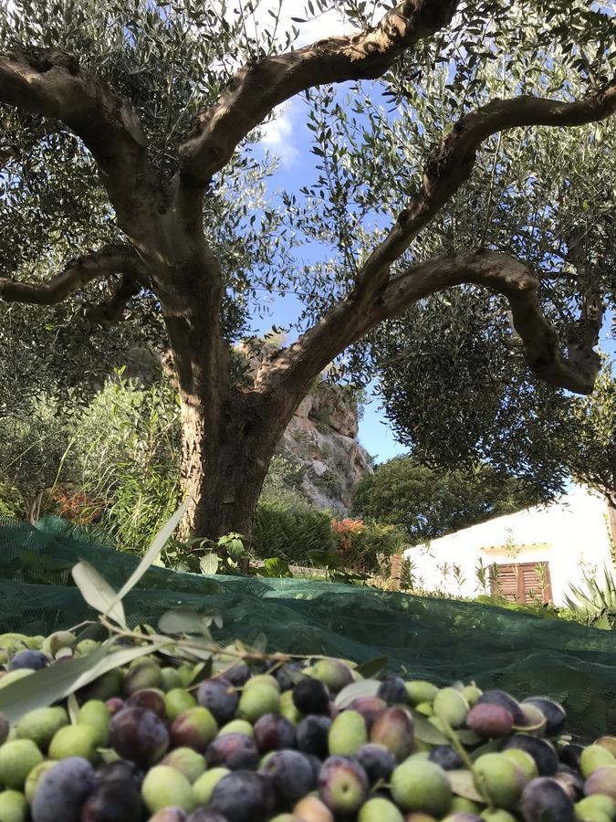 B&B Villa Alba San Vito Lo Capo Bagian luar foto